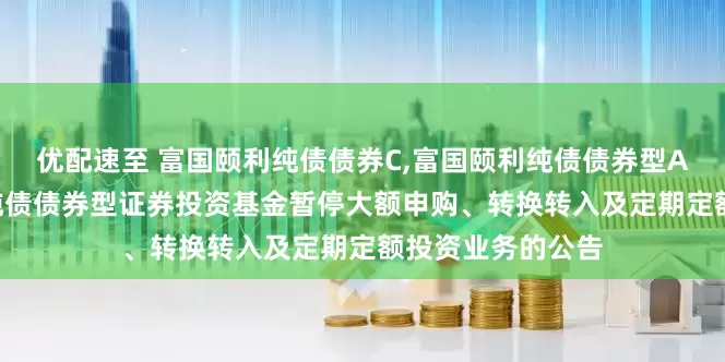 优配速至 富国颐利纯债债券C,富国颐利纯债债券型A: 关于富国颐利纯债债券型证券投资基金暂停大额申购、转换转入及定期定额投资业务的公告