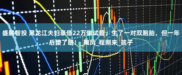 盛鹏智投 黑龙江夫妇豪借22万做试管，生了一对双胞胎，但一年后傻了眼！_鞠凤_程刚来_孩子