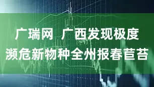 广瑞网  广西发现极度濒危新物种全州报春苣苔